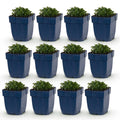 Vasteplant - Campanula portenschlagiana - Perzikbladklokje - Bodembedekkend - Roze - 12 Planten - Pot 11cm - Hoogte 15-25cm