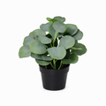 ARTIFICIAL Eucalyptus - 21cm