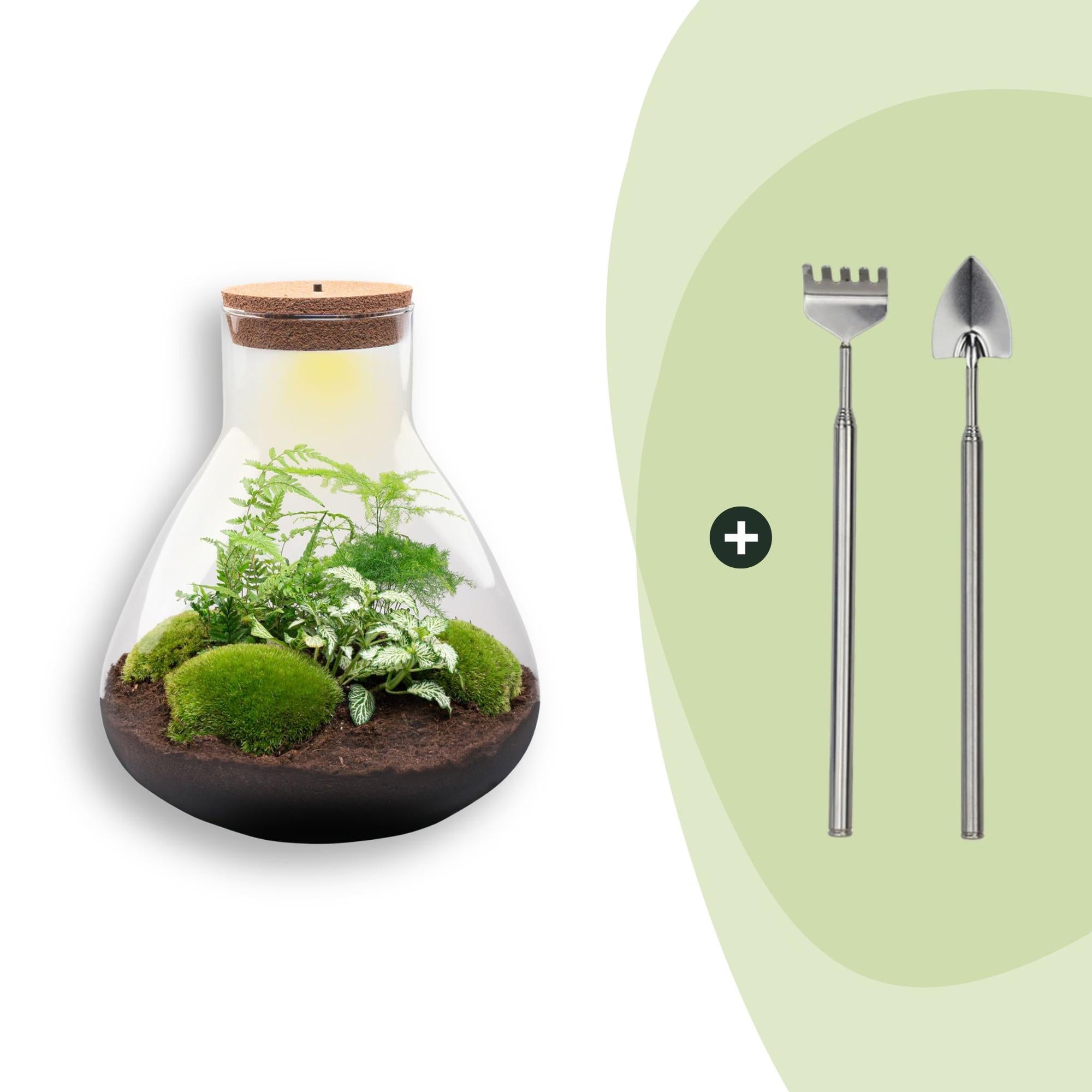 DIY Planten terrarium met licht - Sam XL Green - Ø 30 cm ↑ 32 cm - Rake + Shovel