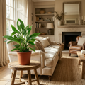 Kamerplant - Lepelplant - Spathiphyllum - Wit - Weinig onderhoud - 1 Plant - Pot 19cm - Hoogte 70 - 80cm