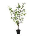 ARTIFICIAL Myrtus - 83cm
