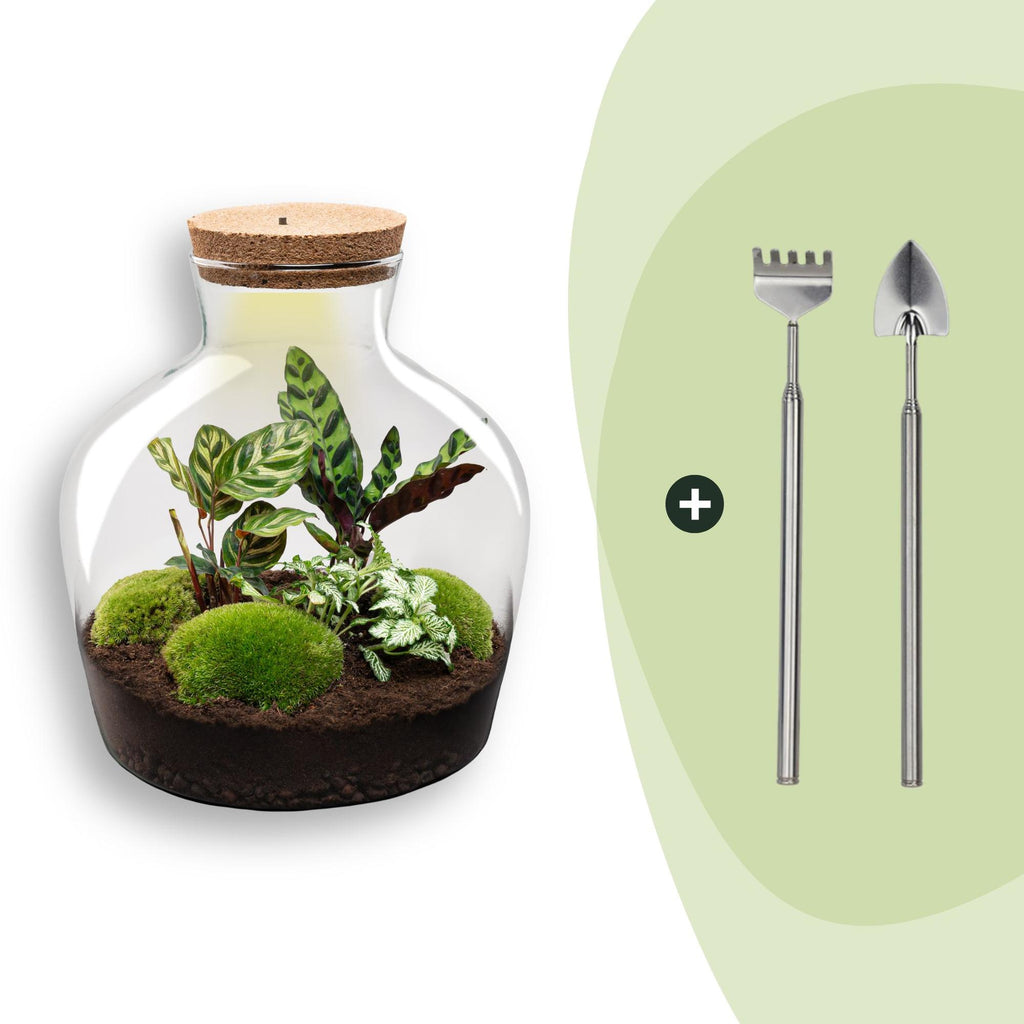 DIY Planten terrarium met licht -  Fat Joe - Ø 29 cm ↑ 30 cm - Rake + Shovel
