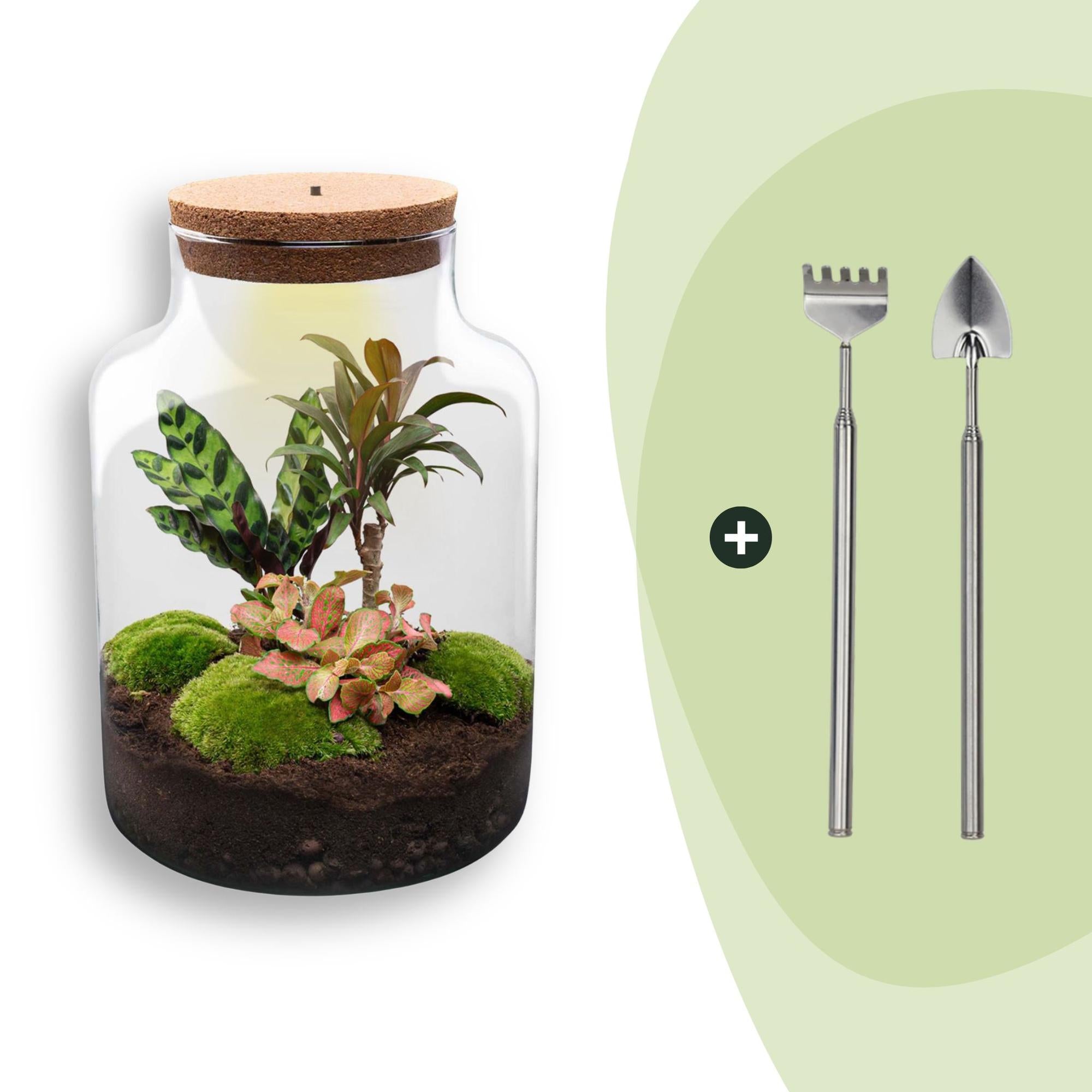 DIY Planten terrarium met licht - Milky - Ø 21 cm ↑ 30 cm - Rake + Shovel