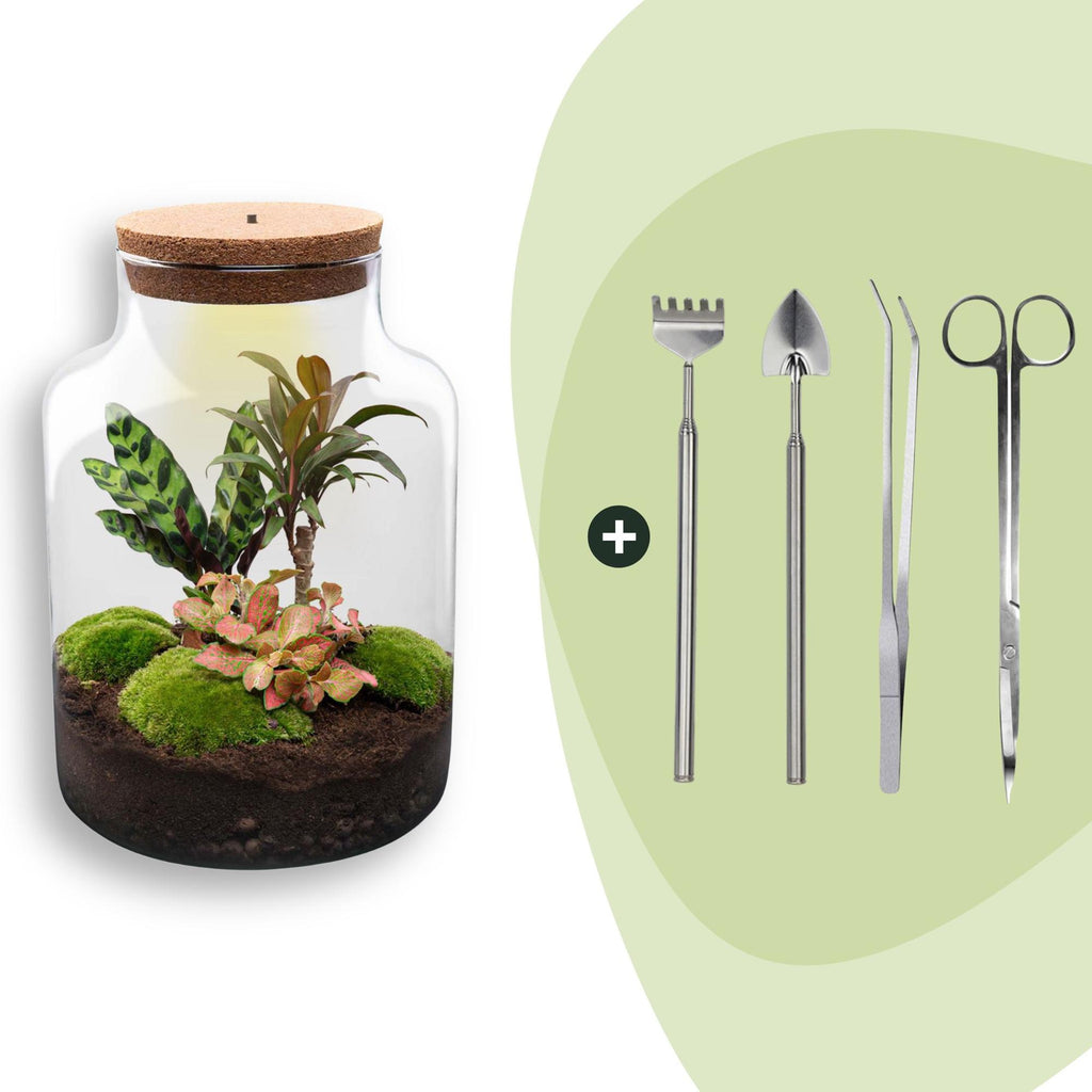 DIY Planten terrarium met licht - Milky - Ø 21 cm ↑ 30 cm - Rake + Shovel + Tweezer + Scissors
