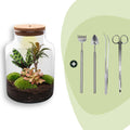 DIY Planten terrarium met licht - Milky - Ø 21 cm ↑ 30 cm - Rake + Shovel + Tweezer + Scissors
