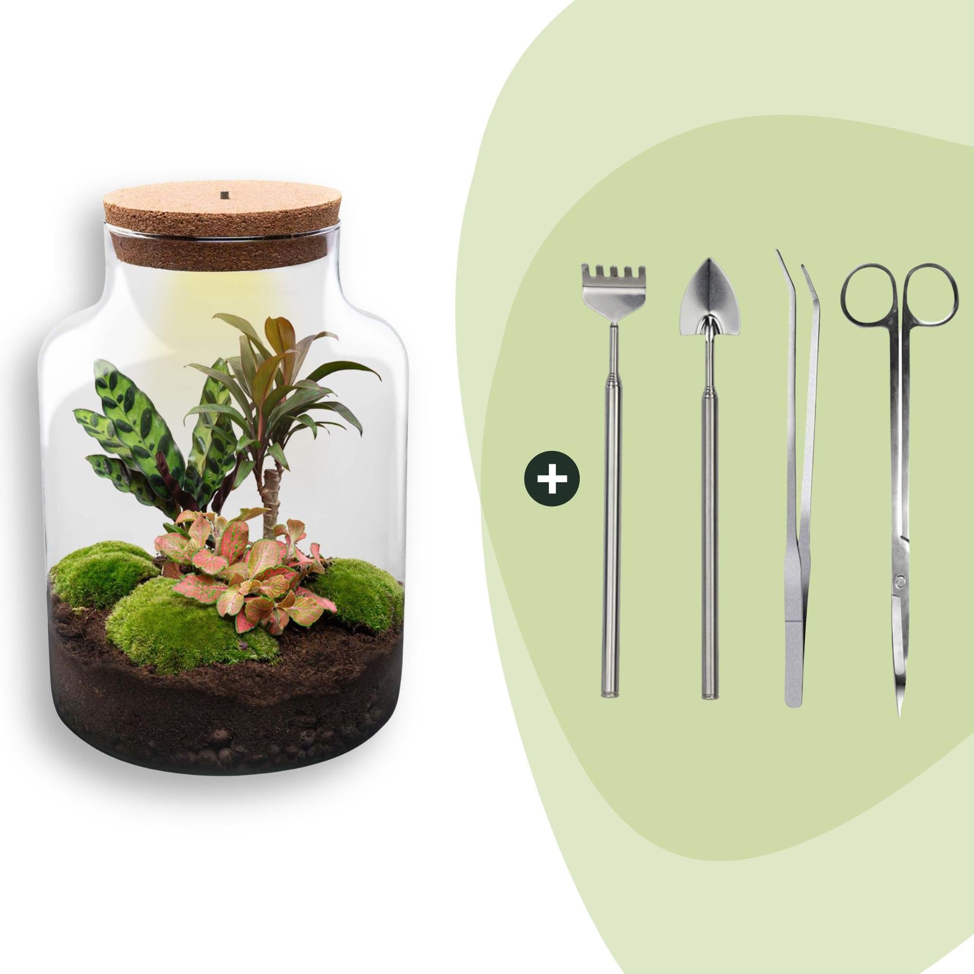 DIY Planten terrarium met licht - Milky - Ø 21 cm ↑ 30 cm - Rake + Shovel + Tweezer + Scissors