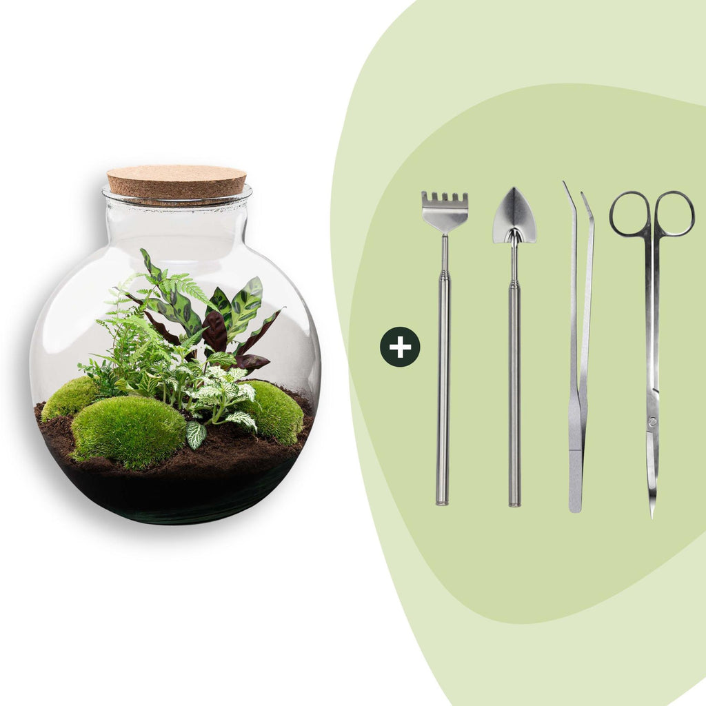 DIY Planten terrarium (met verlichting) - Bolder Bob - Ø 31 cm ↑ 30 cm - Rake + Shovel + Tweezer + Scissors