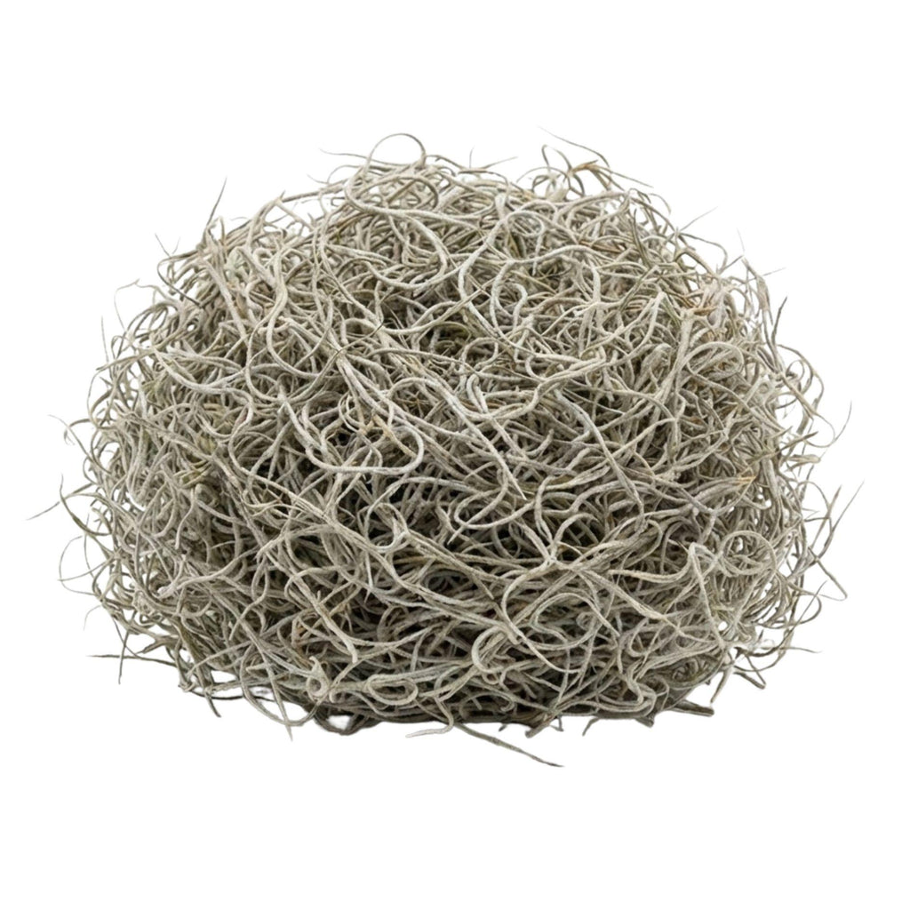 Gedroogd Tillandsia Mos – 1L – Alleen voor decoratief gebruik