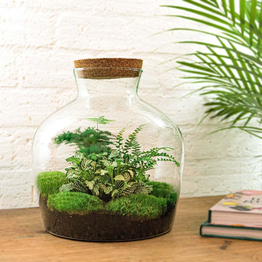 DIY Planten terrarium met licht - Fat Joe Green - Ø 29 cm ↑ 30 cm - Rake + Shovel + Tweezer