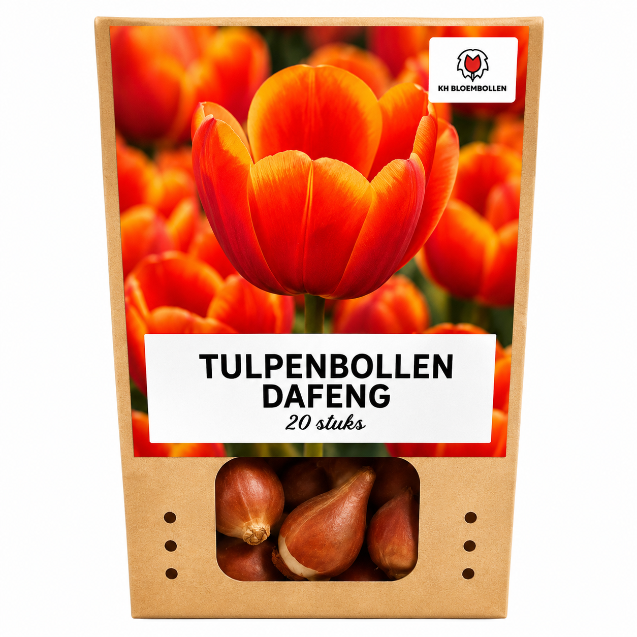 Tulpenbollen Dafeng – 20 Stuks | KH Bloembollen® | Oranje Tulp – Grootbloemig & Elegant – Voor Tuin of Pot – Maat 11/12 – Vers van de Teler!