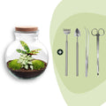 DIY Planten terrarium (met licht) - Teddy - Ø 25 cm ↑ 26,5 cm - Rake + Shovel + Tweezer + Scissors
