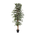 ARTIFICIAL Ficus benjamina variegata - 205cm