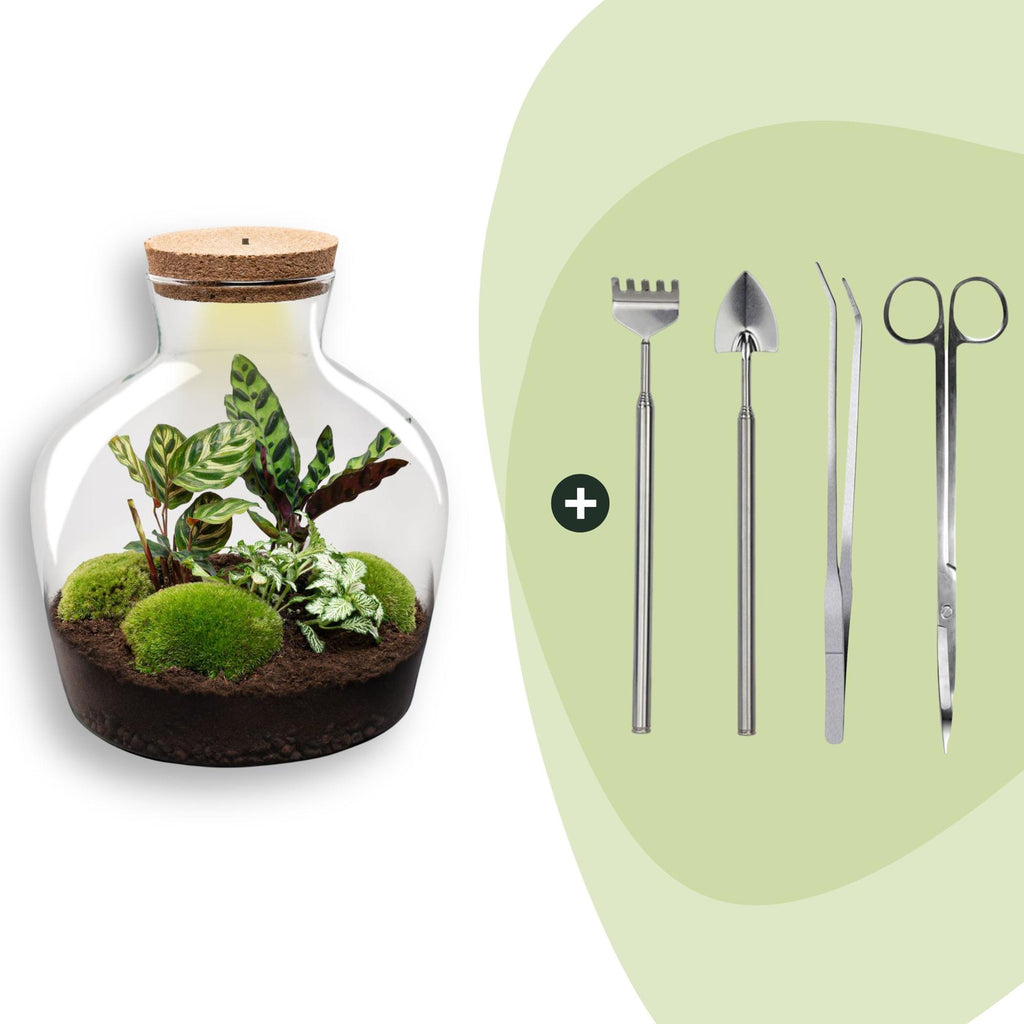 DIY Planten terrarium met licht -  Fat Joe - Ø 29 cm ↑ 30 cm - Rake + Shovel + Tweezer + Scissors