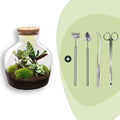 DIY Planten terrarium met licht -  Fat Joe - Ø 29 cm ↑ 30 cm - Rake + Shovel + Tweezer + Scissors