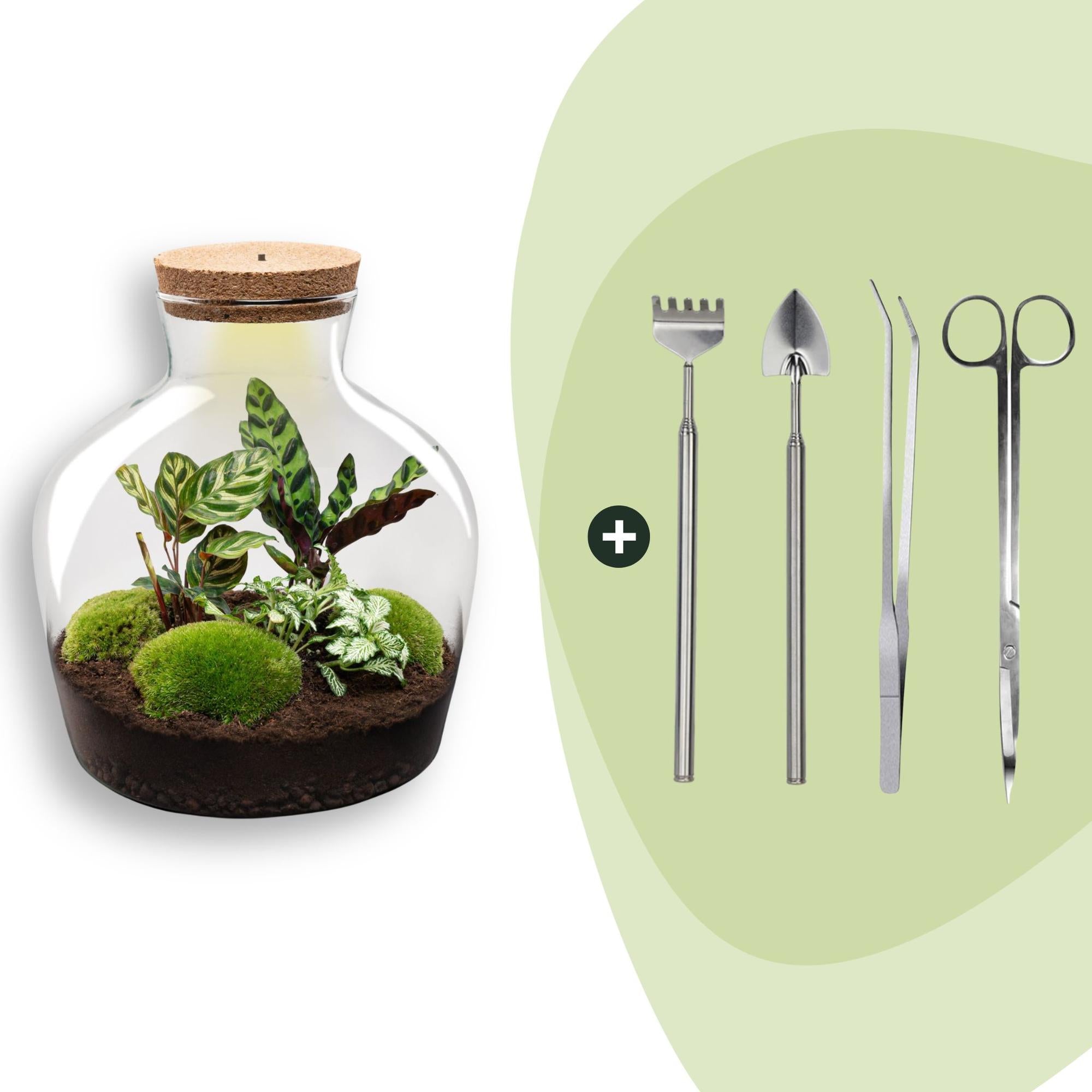 DIY Planten terrarium met licht -  Fat Joe - Ø 29 cm ↑ 30 cm - Rake + Shovel + Tweezer + Scissors