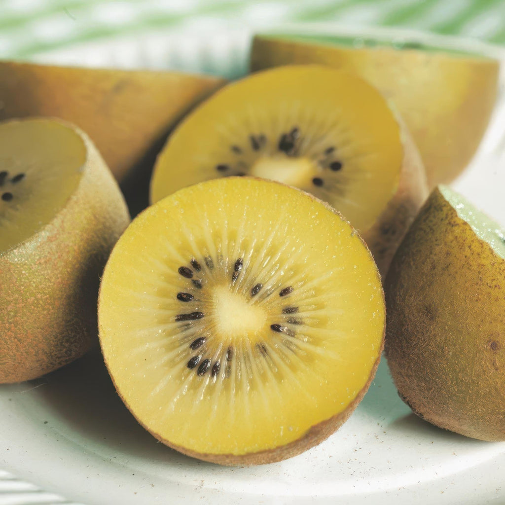 Fruitplant - Actinidia Weiki & Golden Kiwi - Kiwiplant - 1 Mannelijke - 1 Vrouwelijke - Planten - Geel - Pot 15cm - Hoogte 50cm