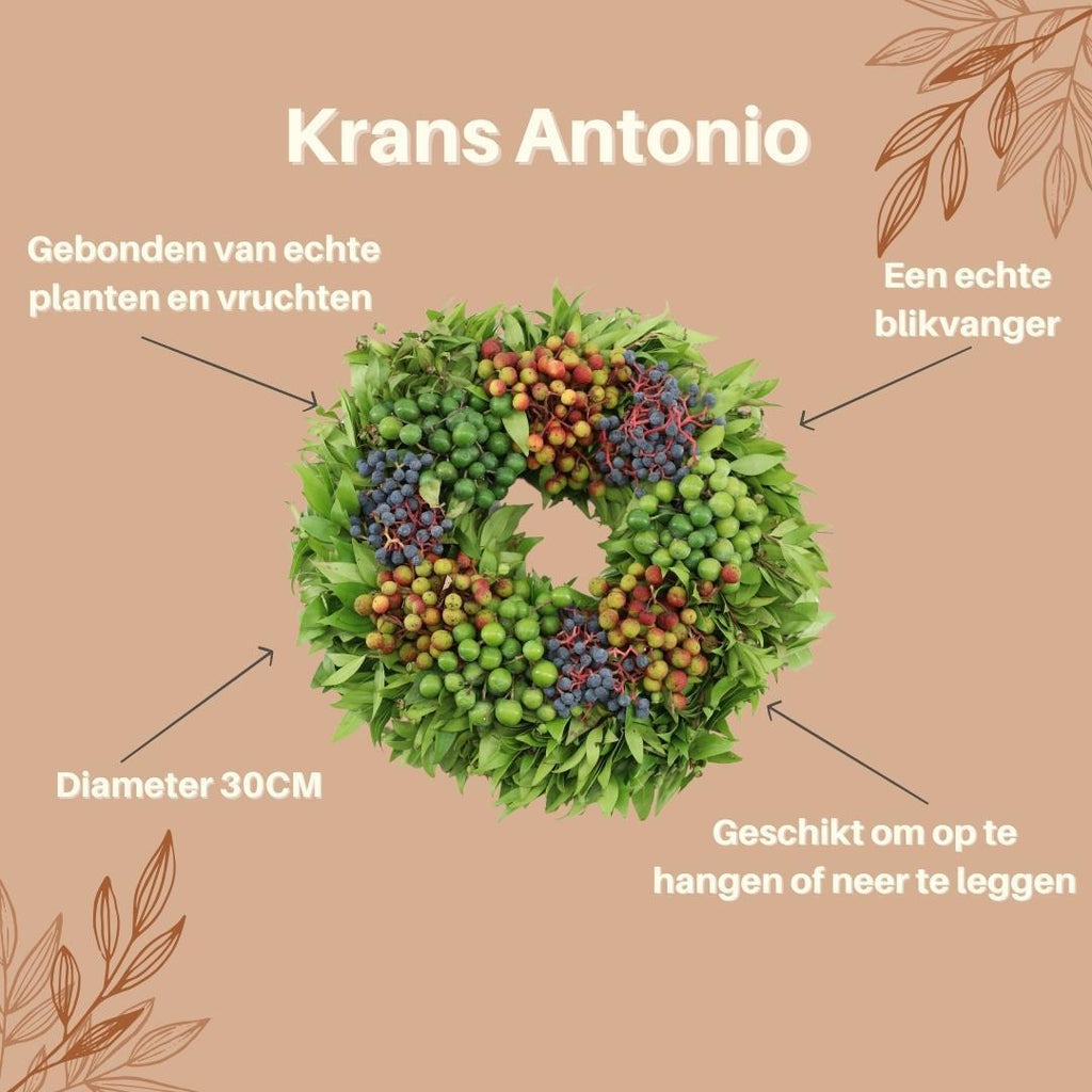 Echte krans Antonio | Ø diameter 30 cm