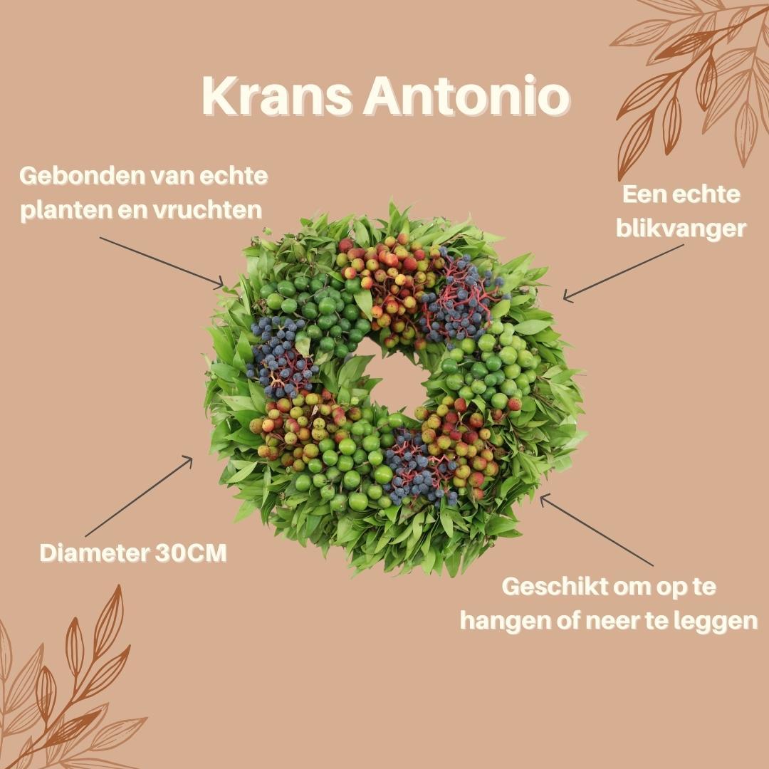 Echte krans Antonio | Ø diameter 30 cm