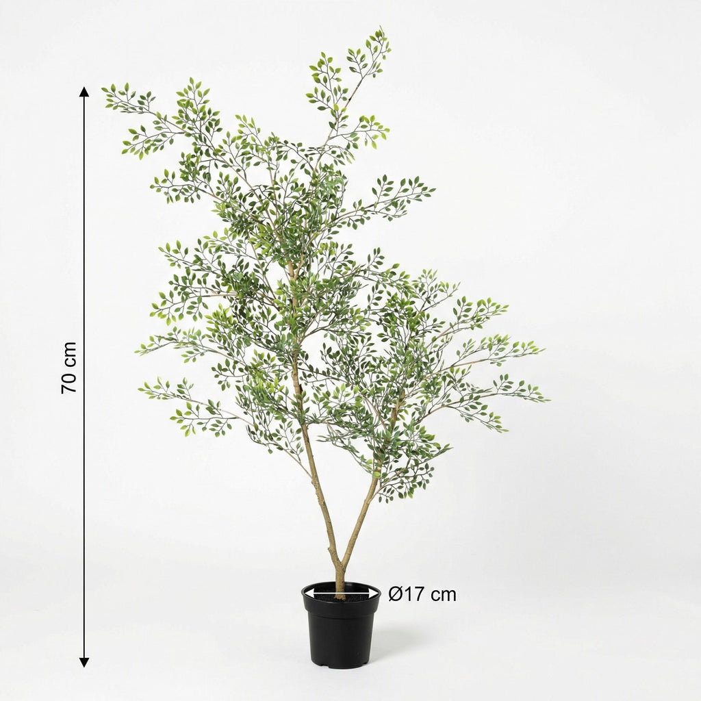 ARTIFICIAL Bucida - 71cm