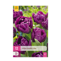 Bloembollen - Tulp Double Lilac - Kleur Paars - 50 stuks - Bolmaat 11/12 - XXL Pack