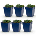 Vasteplant - Geranium sang. Max Frei - Ooievaarsbek - Bodembedekkend - Roze - 6 Planten - Pot 11cm - Hoogte 15-25cm