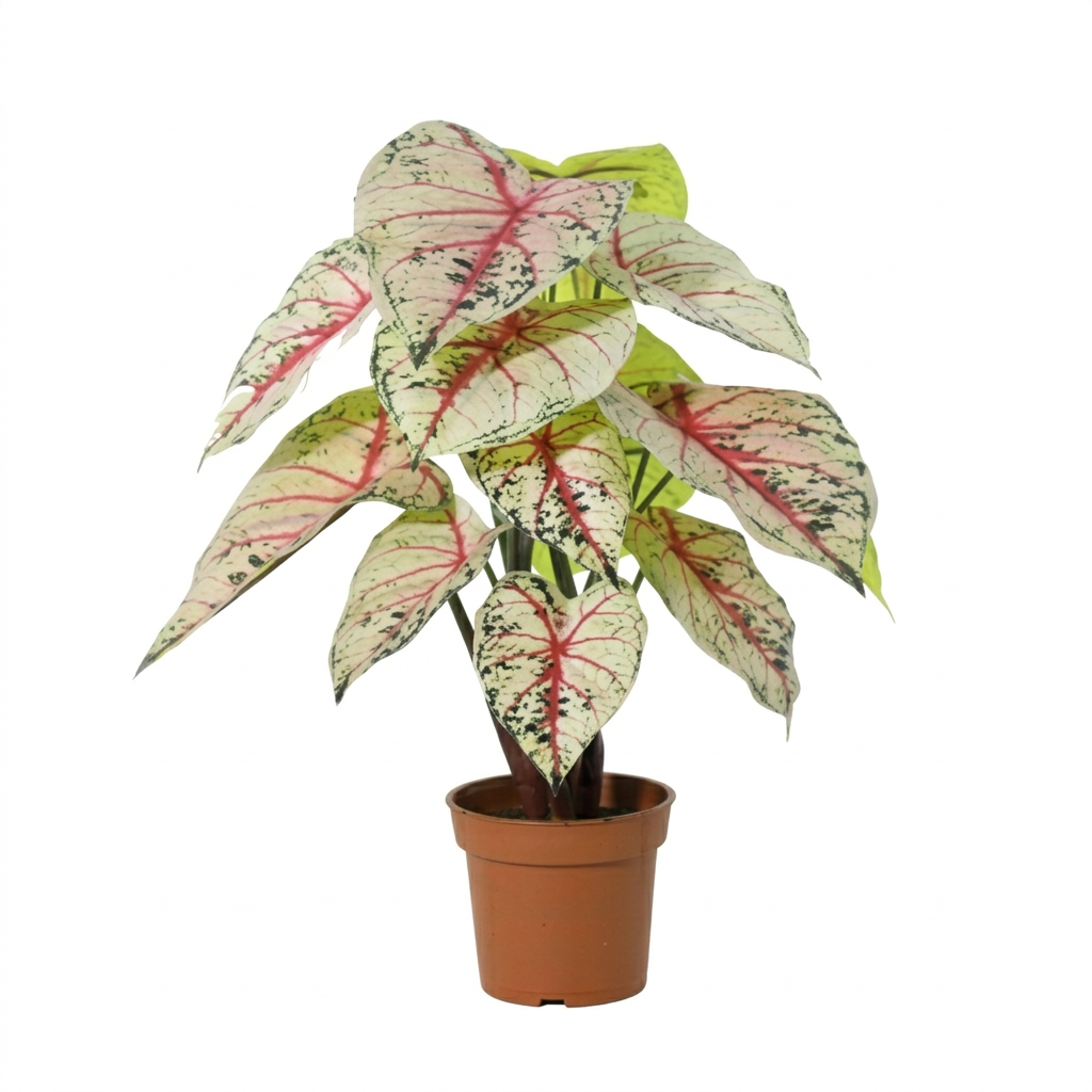 ARTIFICIAL Caladium white / pink - 57cm