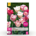 Bloembollen - Tulp Hemisphere mix - Diversen Kleuren - 12 stuks - Bolmaat 11/12 - XXL Pack