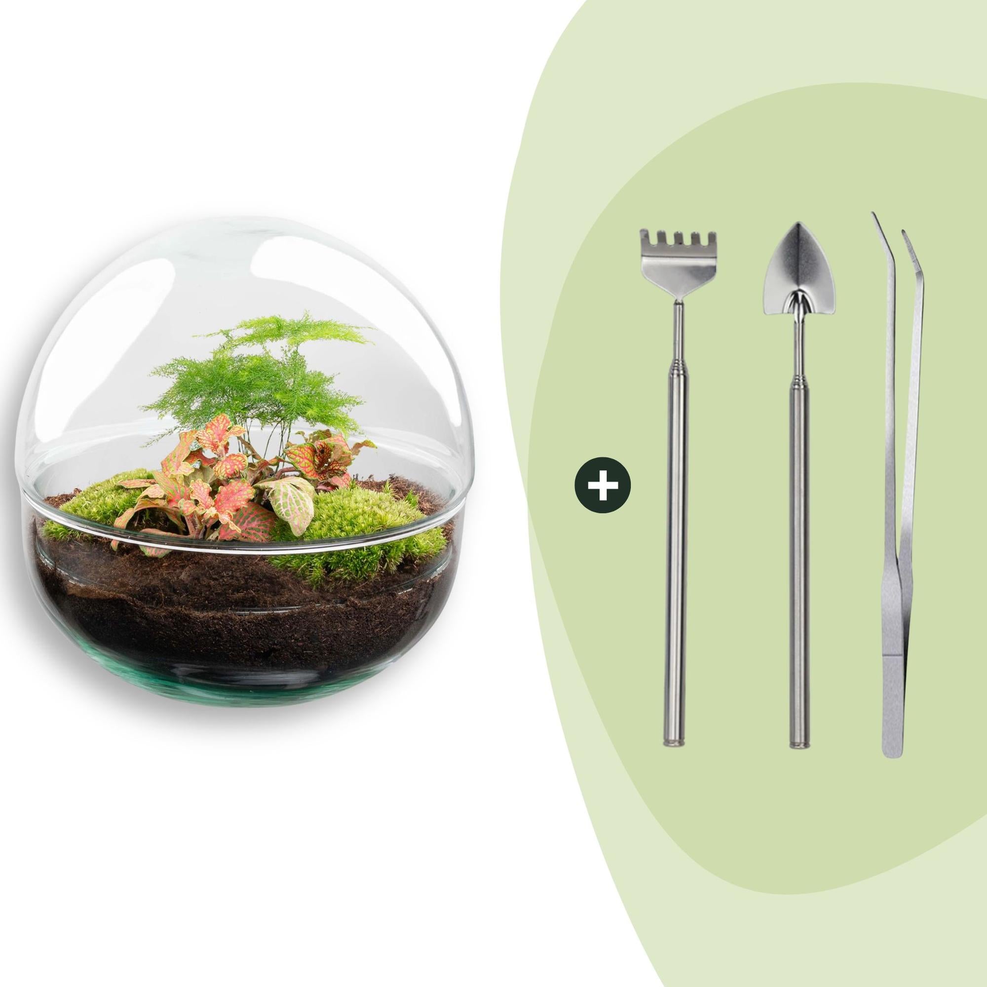 DIY Planten terrarium tweedelig bolglas - Dome Red - Ø 20 cm ↑ 20 cm   - Rake + Shovel + Tweezer